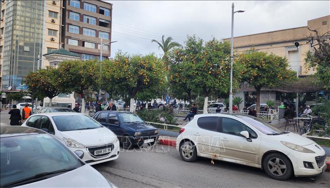Hàng cam trên phố chính ở tỉnh Blida. Ảnh: Mạnh Hùng – Phóng viên TTXVN tại Algeria
