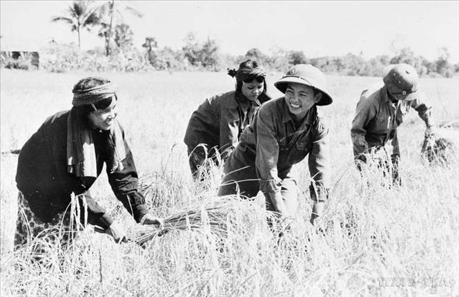Bộ đội Việt Nam giúp nhân dân Campuchia gặt lúa. Ảnh: TTXVN