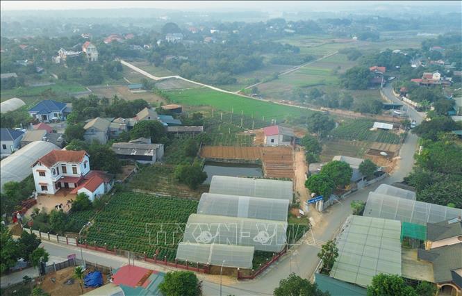 Làng nghề chè búp khô gắn với sản phẩm OCOP tạo nhiều việc làm, nâng cao thu nhập cho người dân địa phương, từng bước hướng tới phát triển xanh, bền vững. Ảnh: Phan Phương – TTXVN