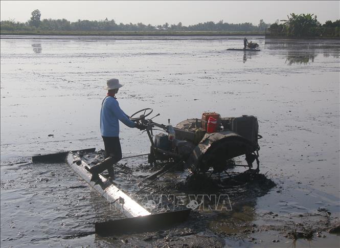 Sử dụng cơ giới trong làm đất tại xã Vị Thủy, thành phố Cần Thơ. Ảnh: Duy Khương - TTXVN