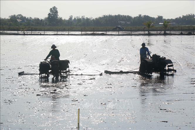 Sử dụng cơ giới trong làm đất tại xã Vị Thủy, thành phố Cần Thơ. Ảnh: Duy Khương - TTXVN