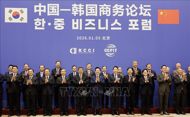 Tổng thống Hàn Quốc Lee Jae Myung (thứ 3, trái, phía xa) và Phó Thủ tướng Trung Quốc Hà Lập Phong (thứ 3, phải, phía xa) tại diễn đàn doanh nghiệp Hàn - Trung ở Bắc Kinh ngày 5/1/2026. Ảnh: YONHAP/TTXVN