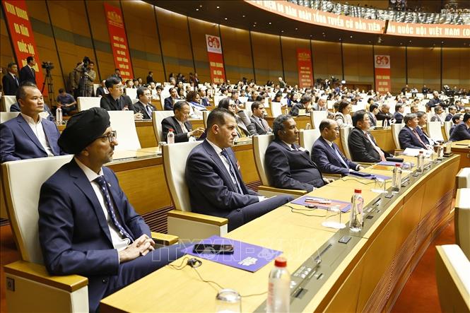 Đại biểu quốc tế dự Lễ kỷ niệm. Ảnh: Doãn Tấn - TTXVN