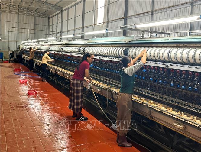 Nhà máy ươm tơ tằm của Công ty Tơ tằm Hùng Linh (xã Albá, tỉnh Gia Lai) phục vụ sản xuất gắn với tiêu thụ tơ tằm. Ảnh: Hồng Điệp - TTXVN