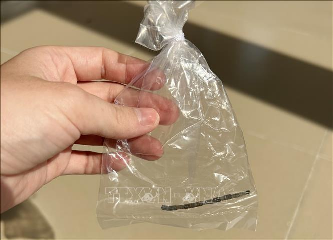 Khối nam châm dài 5cm với tổng cộng 24 viên được lấy ra từ ổ bụng của bệnh nhi 32 tháng tuổi. Ảnh: Lê Xuân-TTXVN