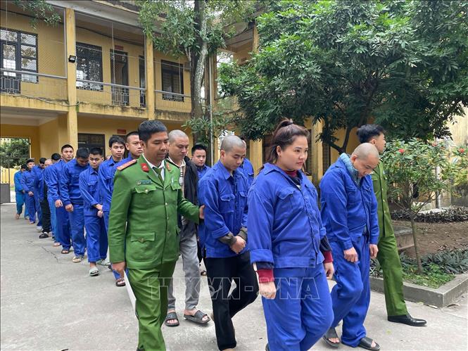 Các đối tượng bị bắt giam. Ảnh: TTXVN phát