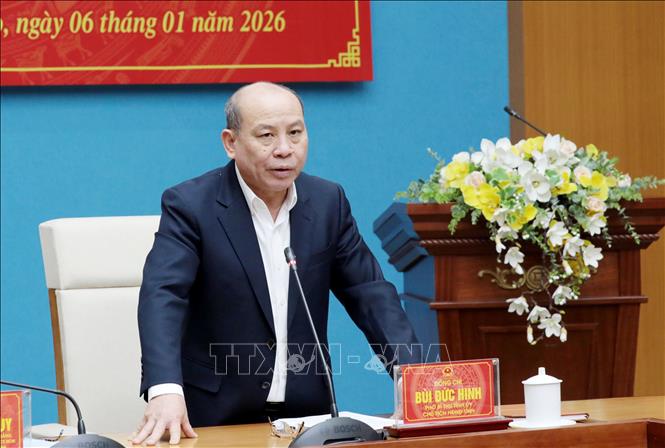 Chủ tịch HĐND tỉnh Phú Thọ Bùi Đức Hinh phát biểu tại buổi làm việc. Ảnh: Tạ Toàn – TTXVN 