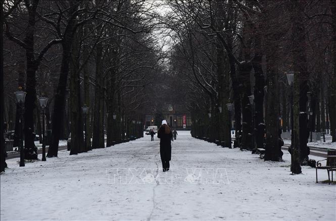 Tuyết phủ trắng xóa tại La Hay, Hà Lan ngày 6/1/2026. Ảnh: THX/TTXVN