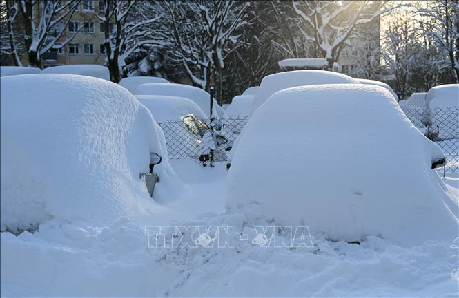 Tuyết phủ dày tại Slupsk, Ba Lan ngày 5/1/2025. Ảnh: PAP/TTXVN