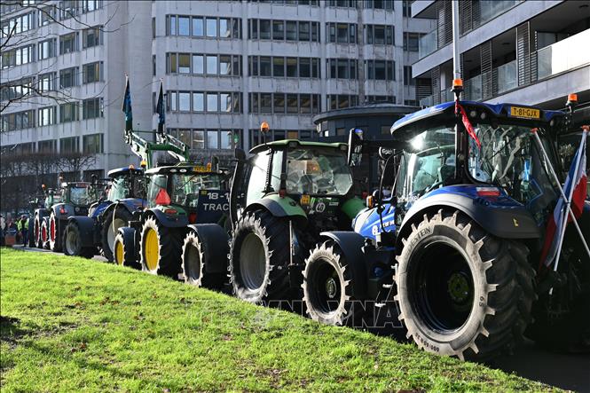 (Tư liệu) Nông dân tham gia biểu tình phản đối chính sách nông nghiệp của EU tại Brussels, Bỉ, ngày 18/12/2025. Ảnh: THX/TTXVN