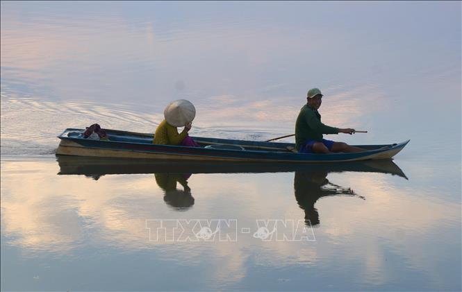 A peaceful scene during the end of the rice paddy fish farming season in Can Tho. VNA Photo: Duy Khương