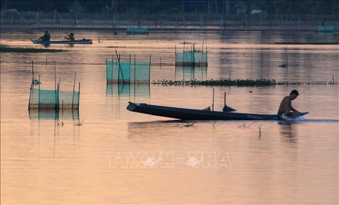 A peaceful scene at the end of the rice paddy fish farming season in Can Tho. VNA Photo: Duy Khương
