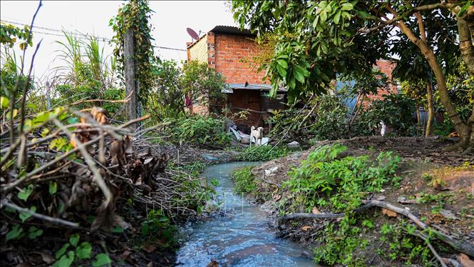 Nguồn nước trắng đục có dấu hiệu ô nhiễm từ khu vực phía sau Doanh nghiệp tư nhân Đoàn Minh Thanh và Cơ sở sản xuất bánh tráng Hồng Tâm chảy trực tiếp vào khu vực sinh sống của người dân. Ảnh: Minh Phú – TTXVN