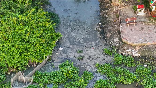 Nguồn nước ô nhiễm tại Rạch Rễ Dưới đổ thẳng ra sông Vàm Cỏ Đông. Ảnh: Minh Phú – TTXVN
