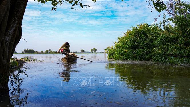 Đoạn tiếp giáp giữa Rạch Rễ Dưới và sông Vàm Cỏ Đông bị ô nhiễm nặng. Ảnh: Minh Phú – TTXVN