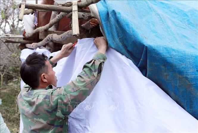 Người dân xã Tả Lèng tỉnh Lai Châu chủ động căng bạt che chắn chuồng trại phòng chống rét cho đàn vật nuôi. Ảnh: Quý Trung – TTXVN