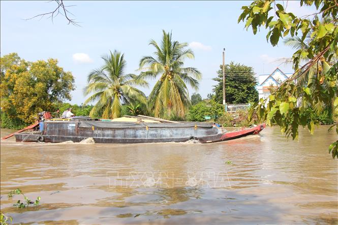 Boats carrying rice on Quan Lo Phung Hiep canal, Ca Mau province. VNA Photo: Chanh Đa