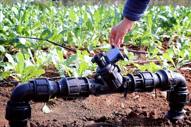 Hệ thống tưới nước tự động luôn được kiểm tra, điều chỉnh, bảo dưỡng đảm bảo an toàn. Ảnh: Thanh Hải - TTXVN 