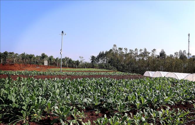 Trạm quan trắc thời tiết IoT ngoài trời, thu thập dữ liệu khí tượng (nhiệt độ, độ ẩm, gió, mưa). Ảnh: Thanh Hải - TTXVN