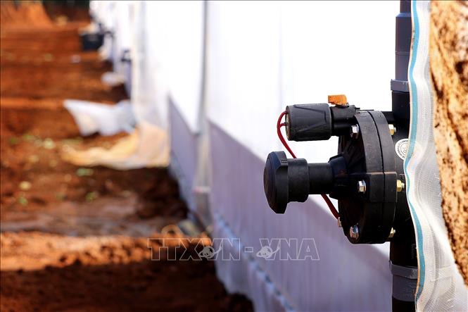 Thiết bị tự động tưới nước cho rau, củ, quả tại nhà lưới. Ảnh: Thanh Hải - TTXVN
