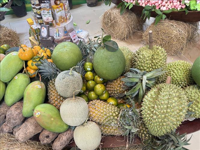 Các loại trái cây của Đồng Tháp dần khẳng định chất lượng sản phẩm địa phương chuẩn OCOP phục vụ cho xuất khẩu. Ảnh: Hồng Nhung - TTXVN