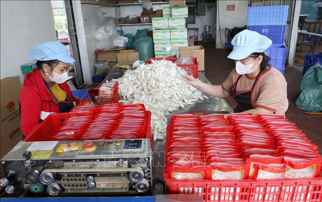 Công nhân Công ty Trách nhiệm hữu hạn Bánh kẹo đặc sản Thiên Đức (xã Đông Hưng) hối hả sản xuất các sản phẩm để phục vụ thị trường Tết. Ảnh: Thế Duyệt – TTXVN 