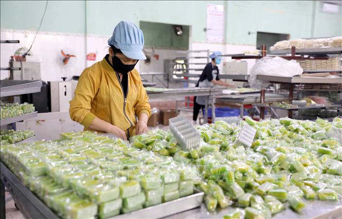 Công nhân Công ty Trách nhiệm hữu hạn Bánh kẹo đặc sản Thiên Đức (xã Đông Hưng) hối hả sản xuất các sản phẩm để phục vụ thị trường Tết. Ảnh: Thế Duyệt – TTXVN 