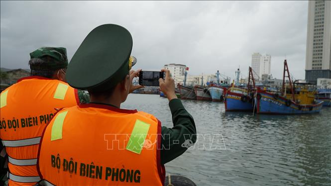 BĐBP Gia Lai kiểm đếm tàu cá không đủ điều kiện hoạt động. Ảnh: Đình Quân - TTXVN                             