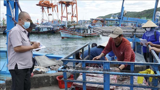 Lực lượng chức năng giám sát hoạt động đưa cá lên cảng. Ảnh: Đình Quân - TTXVN  