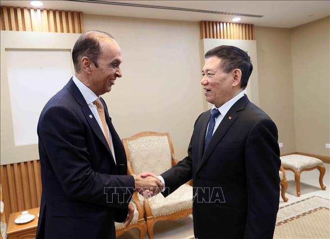 Phó Thủ tướng Hồ Đức Phớc tiếp Tổng Giám đốc Tập đoàn Prudential Anil Wadhwani. Ảnh: An Đăng - TTXVN