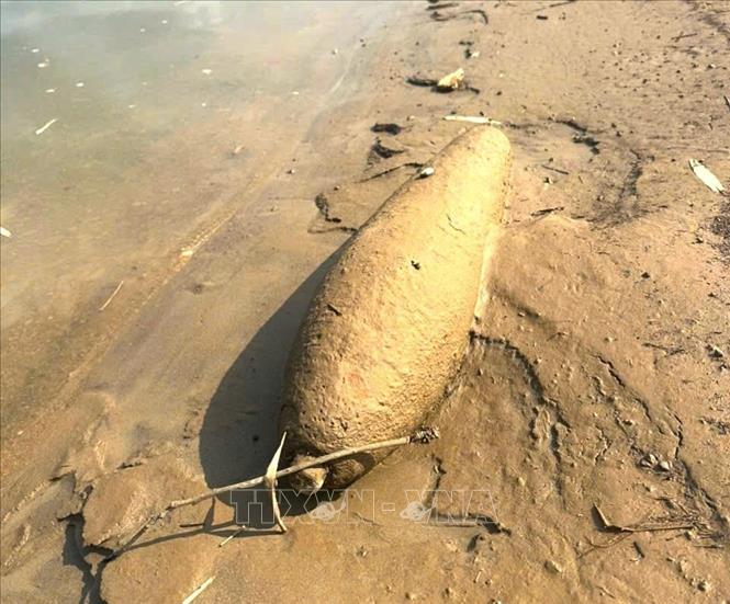 The bomb, which still has its detonator intact, is discovered by residents along the Lo River in Bac Muc hamlet, Ham Yen commune. VNA Photo: Đăng Ninh/Photo by courtesy