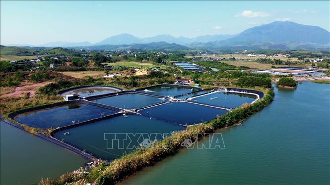 Vùng nuôi trồng thủy sản tại xã Đường Hoa (Quảng Ninh). Ảnh: Đức Hiếu - TTXVN