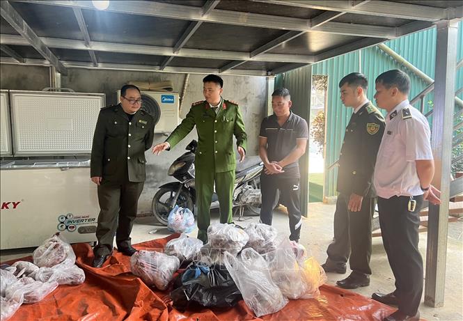 Lực lượng chức năng tỉnh Tuyên Quang tăng cường kiểm tra hàng hóa, thực phẩm tại các cửa hàng, nhà hàng, quán ăn dịp cuối năm. Ảnh: Hoàng Hải - TTXVN