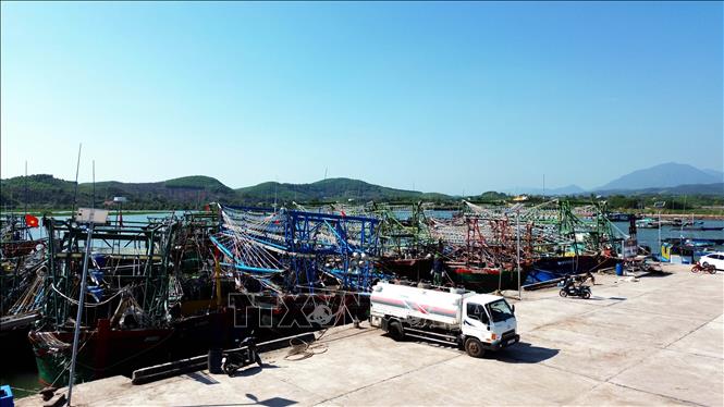 Với trên 300 phương tiện đánh bắt thủy sản, người dân xã Đường Hoa (Quảng Ninh) có nguồn thu ổn định. Ảnh: Đức Hiếu - TTXVN