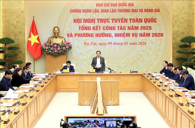 Phó Thủ tướng Bùi Thanh Sơn phát biểu chỉ đạo. Ảnh: An Đăng - TTXVN