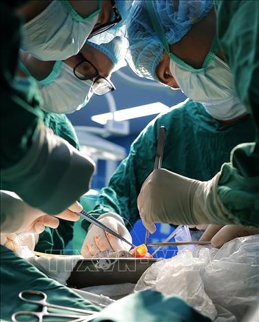 Đóng góp vào thành tựu y học Việt Nam hiện đại, việc thực hiện thành công kỹ thuật ghép phổi - một trong những kỹ thuật khó và phức tạp bậc nhất trong lĩnh vực ghép tạng, là minh chứng rõ nét cho việc công nghệ đang ngày càng đồng hành chặt chẽ cùng sự sống con người. Ảnh: Minh Quyết - TTXVN