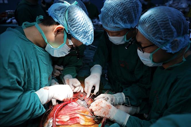 Ê kíp ghép phổi cho bệnh nhân. Ảnh: Minh Quyết – TTXVN