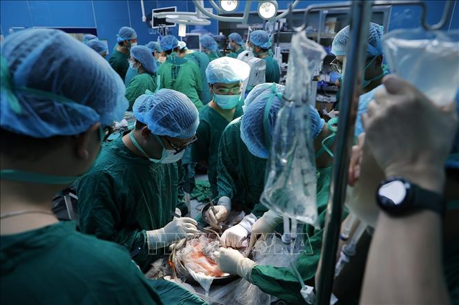 Đây là kỹ thuật đòi hỏi sự phối hợp nghiêm ngặt, chính xác và đồng bộ của toàn bộ hệ thống chuyên môn, từ khâu đánh giá tình trạng phổi của người cho và người nhận cho đến từng bước trong quá trình phẫu thuật. Ảnh: Minh Quyết – TTXVN