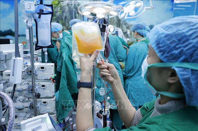 Toàn bộ các ca ghép phổi do Bệnh viện Phổi Trung ương thực hiện đều thành công ở mức cao nhất theo tiêu chuẩn của Trung tâm Ghép phổi UCSF – Trường đại học California, tại San Francisco, Trung tâm Y học uy tín nhất tại Hoa Kỳ. Hiện tại, Bệnh viện đã thực hiện thành công 12 ca ghép phổi, đưa Việt Nam vào danh sách của những Trung tâm Ghép phổi lớn trên thế giới. Ảnh: Minh Quyết – TTXVN
