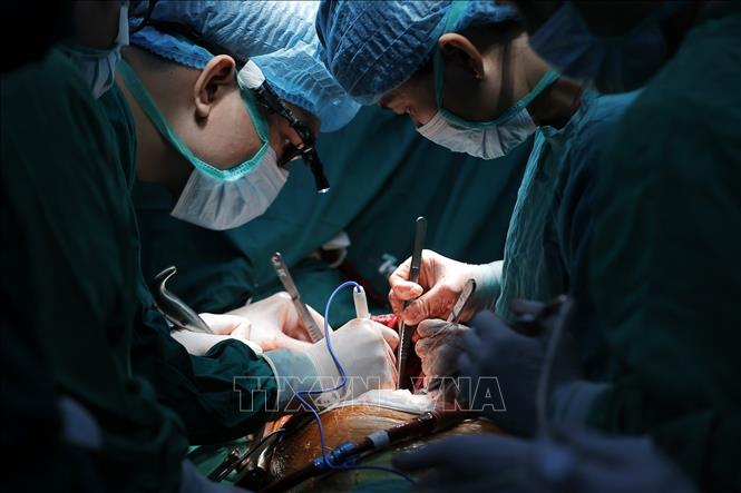 Ê kíp tiến hành đặt ECMO (hệ thống tim phổi nhân tạo), chuẩn bị ghép phổi cho bệnh nhân. Ảnh: Minh Quyết - TTXVN