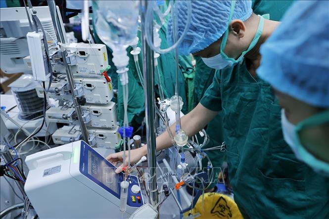 Ê kíp tiến hành đặt ECMO (hệ thống tim phổi nhân tạo), chuẩn bị ghép phổi cho bệnh nhân. Ảnh: Minh Quyết - TTXVN