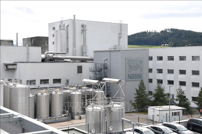 Nhà máy của hãng sữa Nestle ở Konolfingen, Thụy Sĩ. Ảnh: THX/TTXVN