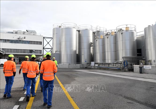 Nhà máy của hãng sữa Nestle ở Konolfingen, Thụy Sĩ. Ảnh: THX/TTXVN