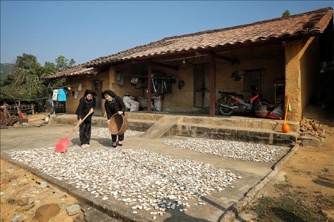 Người dân sinh sống trong khu nhà cổ ở bản Bắc Hoa vẫn duy trì trang phục dân tộc trong sinh hoạt hằng ngày. Ảnh: Danh Lam -TTXVN 