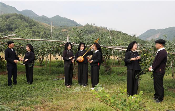 Các câu lạc bộ văn nghệ dân gian, đặc biệt là hát dân ca Nùng, được duy trì thường xuyên, trở thành điểm nhấn quan trọng trong việc giới thiệu văn hóa địa phương. Ảnh: Danh Lam -TTXVN 