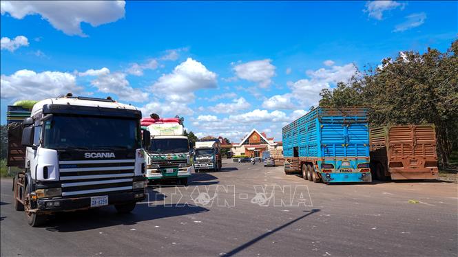 Lưu lượng xe container, xe tải chở nông sản từ Campuchia nhập khẩu vào Việt Nam tăng mạnh tại Cửa khẩu quốc tế Xa Mát trong những ngày cao điểm cuối năm. Ảnh: Minh Phú – TTXVN