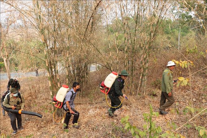 Cán bộ Ban Quản lý rừng An Giang kiểm tra khu vực có nguy cơ cháy rừng cao tại phường Tịnh Biên, tỉnh An Giang. Ảnh: Thanh Sang-TTXVN