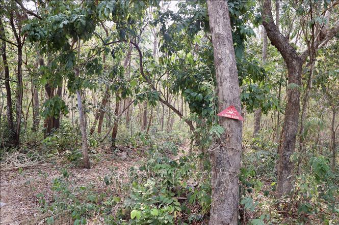 Biển cảnh báo cháy rừng trên núi Phú Cường, phường Tịnh Biên, tỉnh An Giang. Ảnh: Thanh Sang-TTXVN