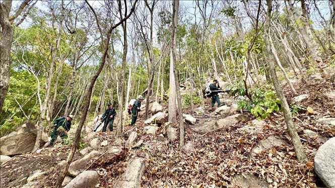 Cán bộ Ban Quản lý rừng An Giang kiểm tra thảm thực bì khô tại khu vực núi Cấm, xã Núi Cấm, tỉnh An Giang có nguy cơ xảy ra cháy rừng cao. Ảnh: Thanh Sang-TTXVN