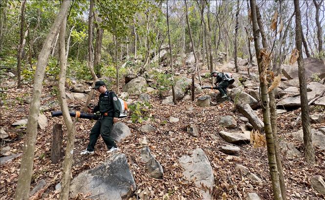 Cán bộ Ban Quản lý rừng An Giang kiểm tra thảm thực bì khô tại khu vực núi Cấm, xã Núi Cấm, tỉnh An Giang có nguy cơ xảy ra cháy rừng cao. Ảnh: Thanh Sang-TTXVN